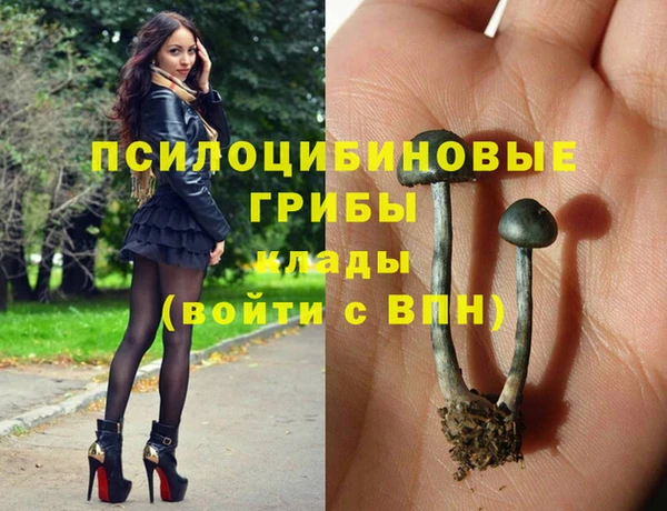 спайс Баксан