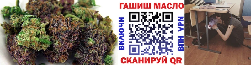 ТГК THC oil  Купить закладки  Гвардейск 