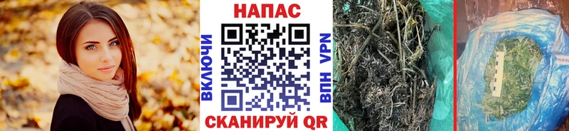 Конопля гибрид  Купить  Гвардейск 